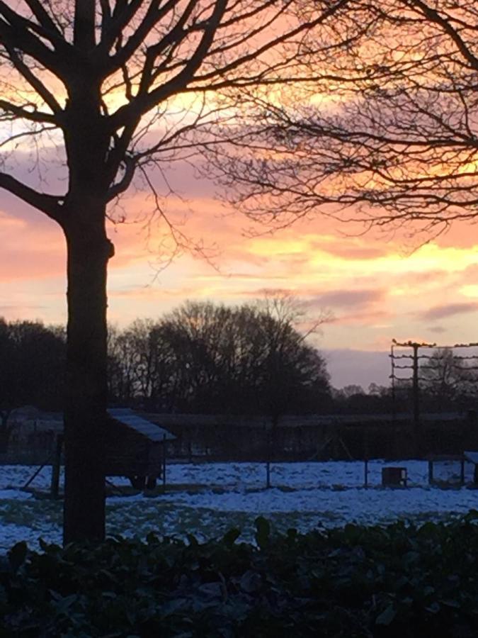 B&B Van Beijden Overasselt Exteriér fotografie